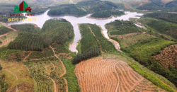 VIEW HỒ SIÊU ĐẸP