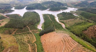 VIEW HỒ SIÊU ĐẸP